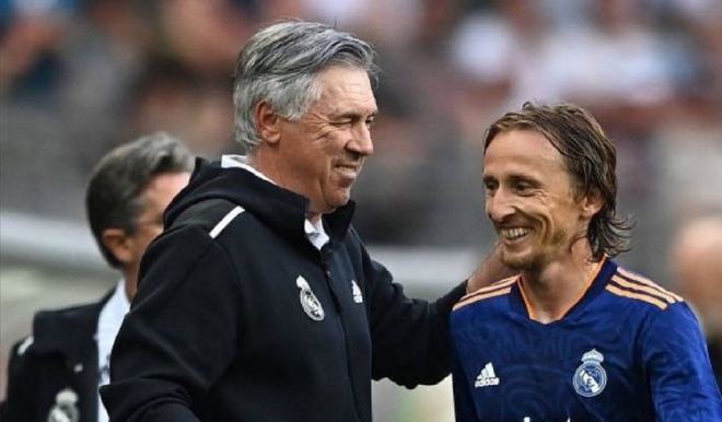 森林狼为了 森林狼为了