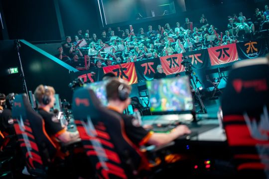 公牛问题集 公牛问题集